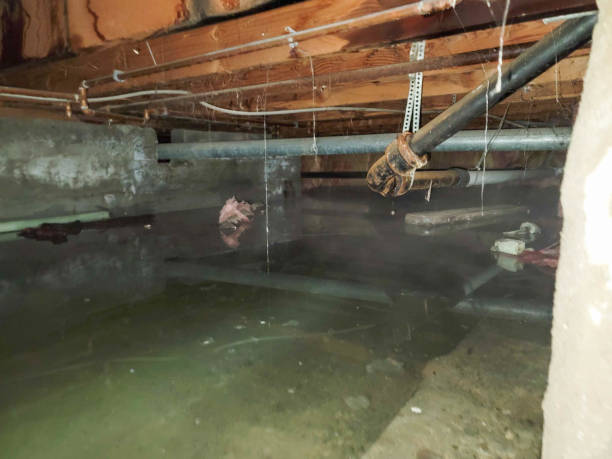 Best Commercial water damage restoration  in Hillview, KY