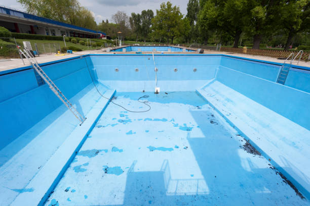 Best Mold removal after water damage  in Hillview, KY