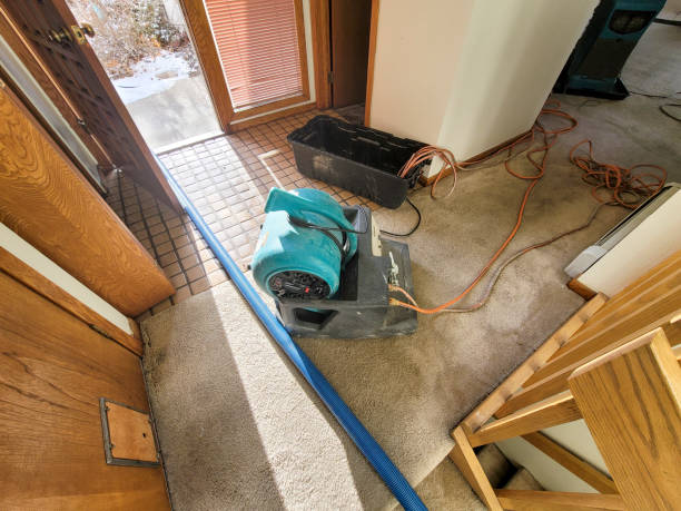 Best Water damage restoration insurance claims  in Hillview, KY