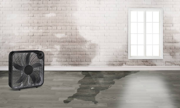 Best Emergency water damage restoration  in Hillview, KY