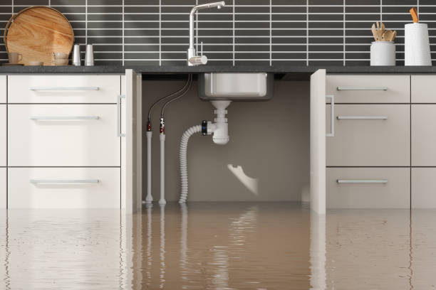 Best Sewage cleanup and water damage restoration  in Hillview, KY